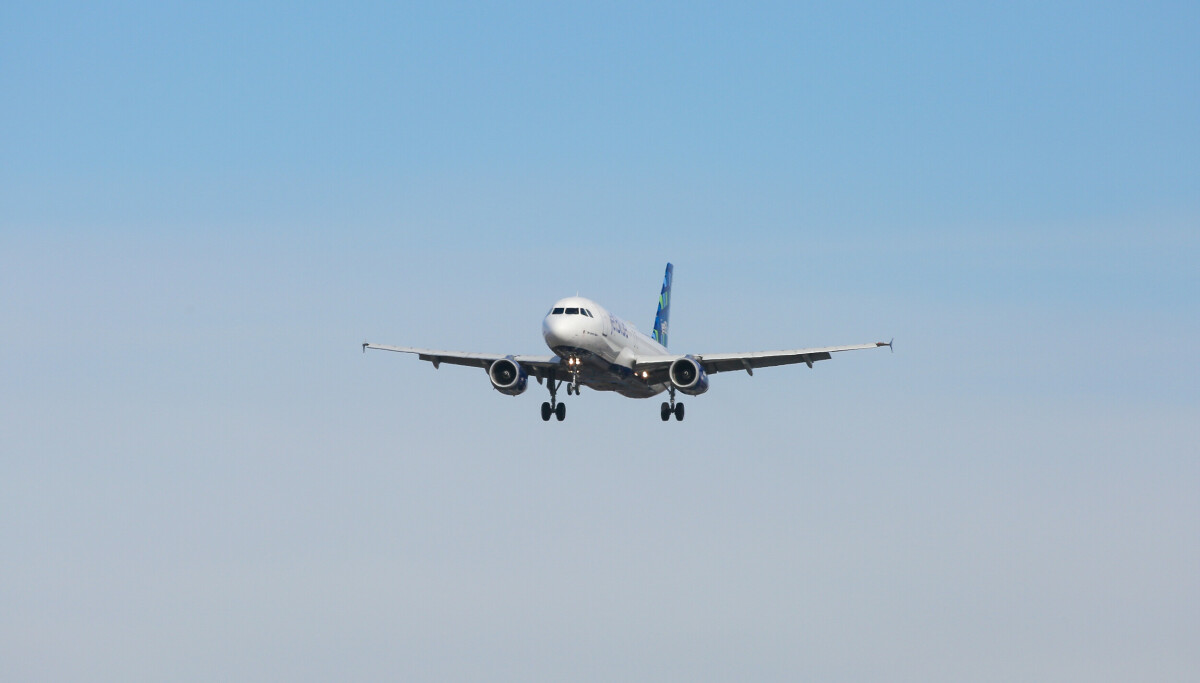 Teori vekker oppsikt