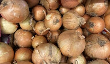 Jubler etter løk-drama - DinSide