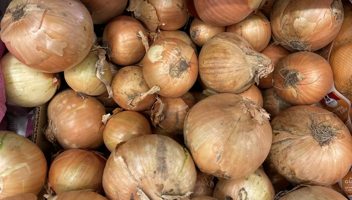 Jubler etter løk-drama - DinSide