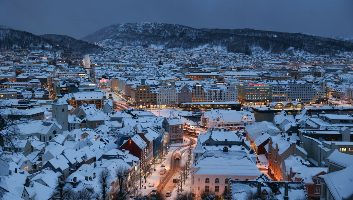 «Nissetyv» fortsatt på frifot