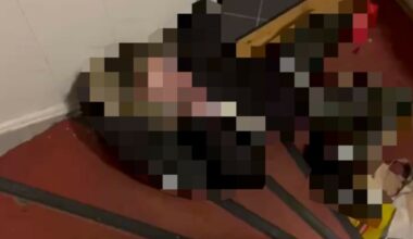 Fant fremmed kvinne i stua