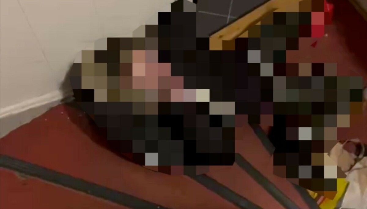 Fant fremmed kvinne i stua