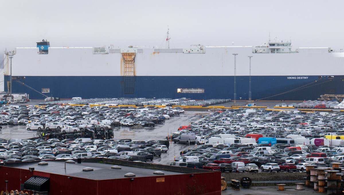 Registrerings-race før nyttår