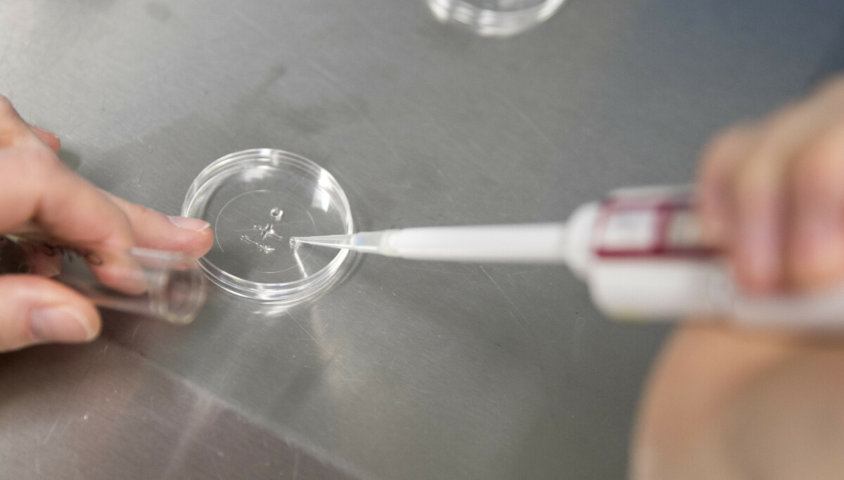 Dansk donor skaper sjokkbølger: Alvorlig genetisk mutasjon oppdaget