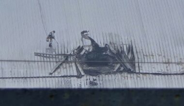 Har oppdaget hull i Tsjernobyl