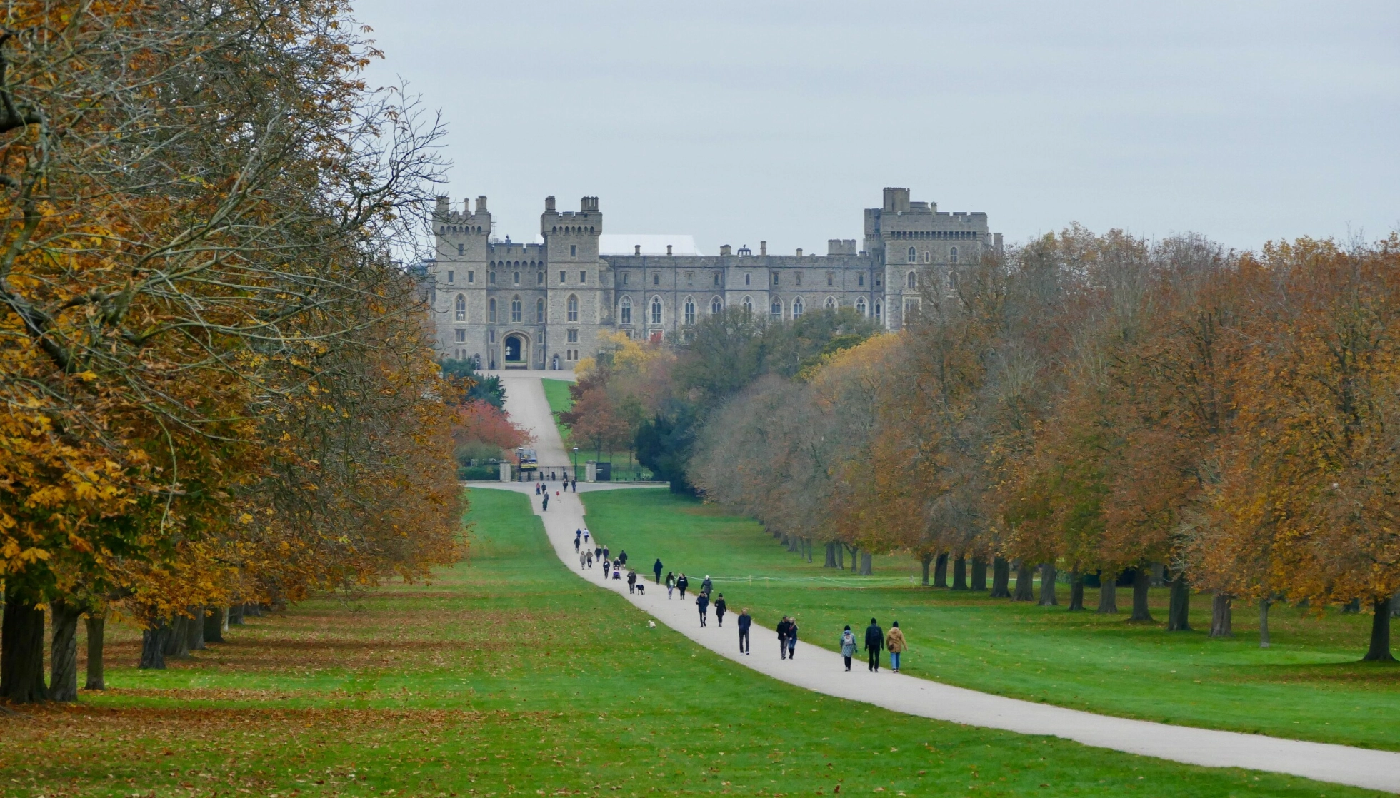 ÅPENT: Great Windsor Park er et massivt parkområde, hvor også deler er eid av den britiske kongefamilien. Nå snevres de offentlige områdene inn. Foto: Geoffrey Swaine/Shutterstock/NTB