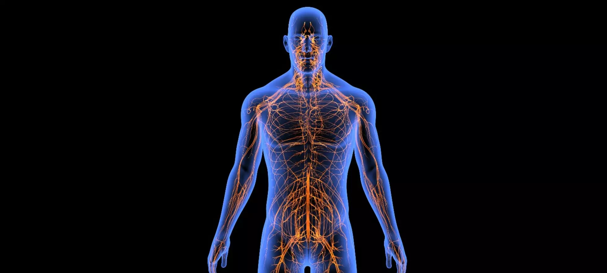 Studie: En matvare øker biologisk alder