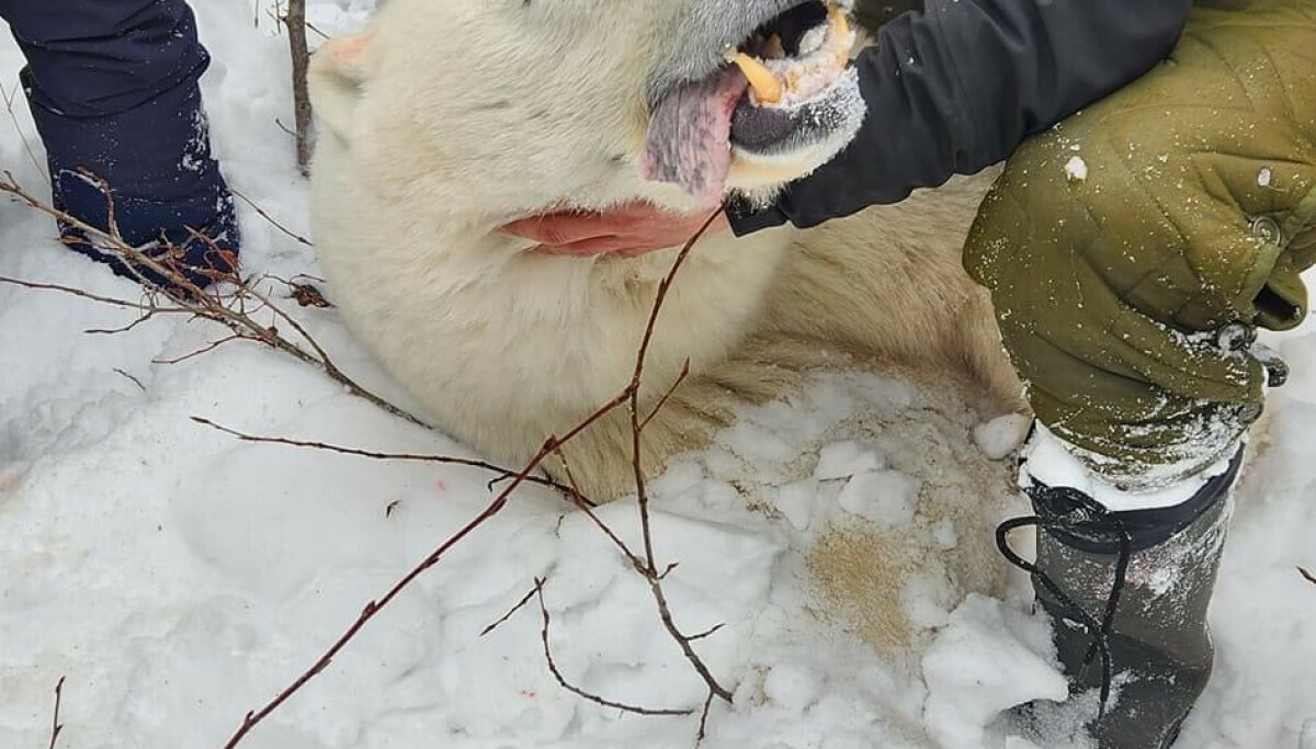 «Man må leve mens man lever»