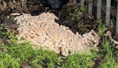 Snur nabolaget på hodet