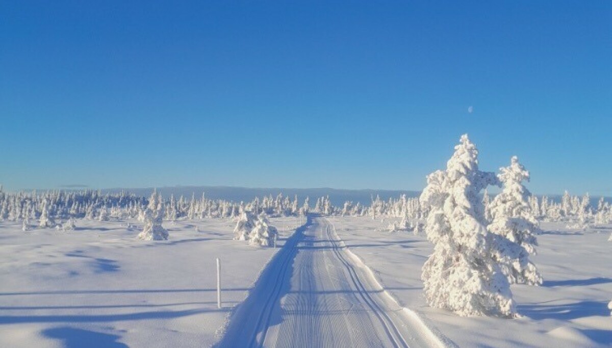 - Her er det julekort-stemning