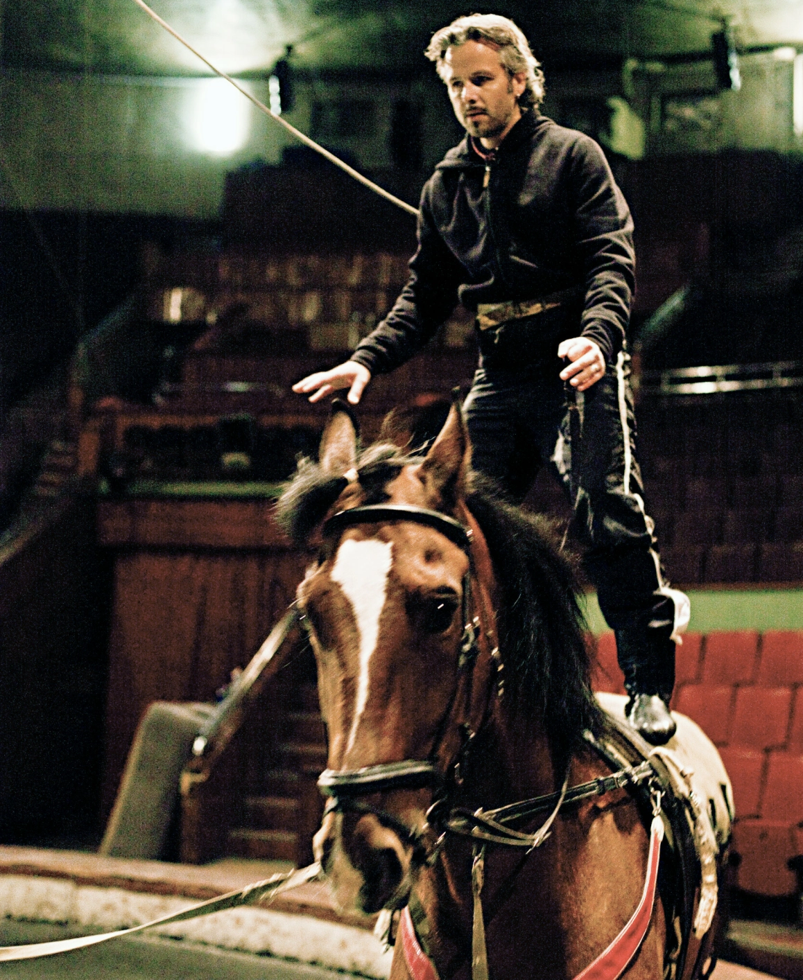 HEST ER BEST: I episode tre av «Ari og Per løser verdensproblemer» ble Ari og Per lokket inn i sirkusmanesjen. Foto: Per Heimly