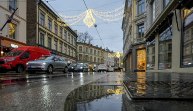 Vårtegn i desember: - Kan bli alvorlig