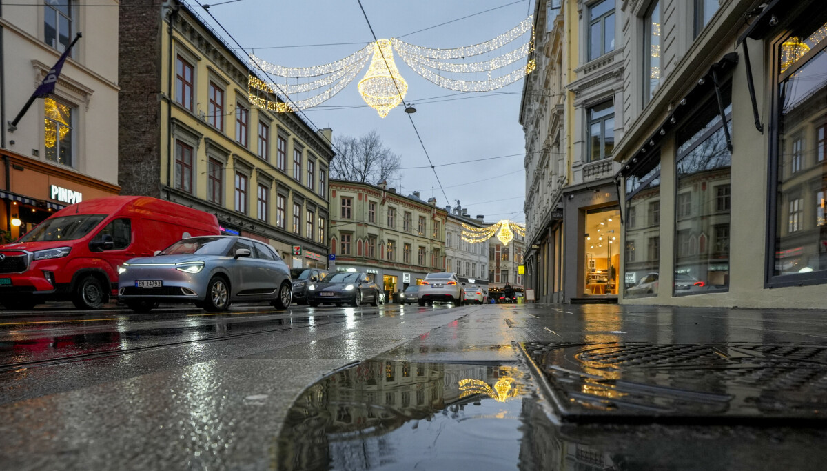 Vårtegn i desember: - Kan bli alvorlig