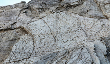 Har oppdaget tusenvis