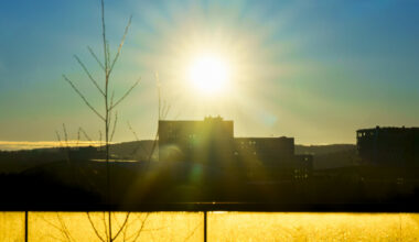 - En veldig god nyhet