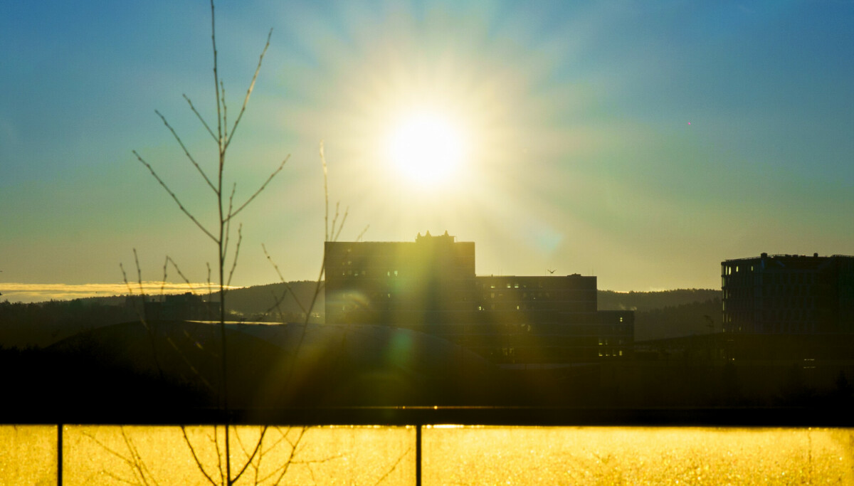 - En veldig god nyhet