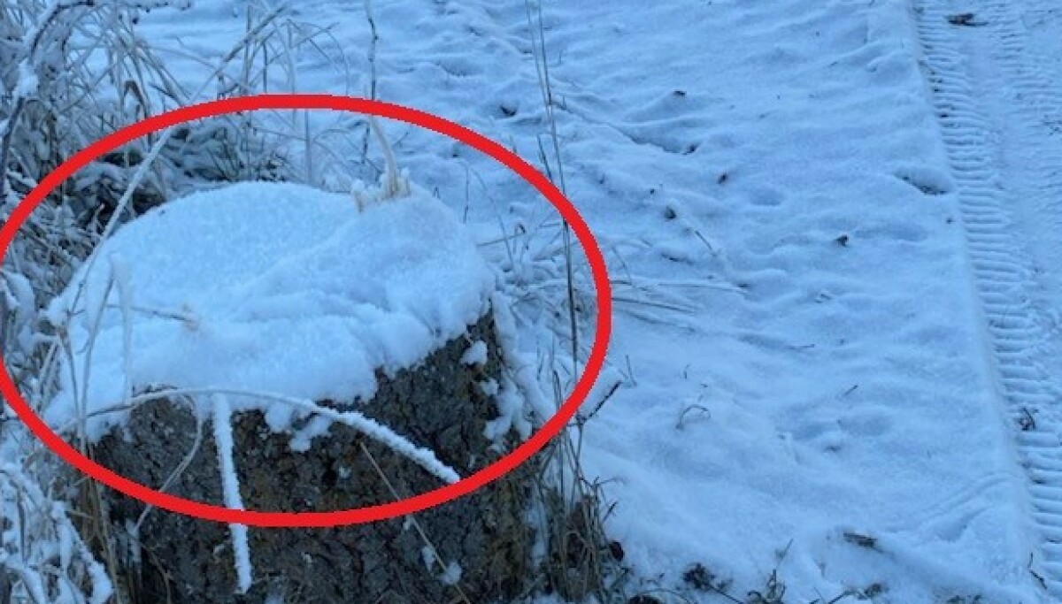 Kommune beklager etter kjempetabbe