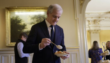 Hardt ut mot Stoltenbergs sildesalat