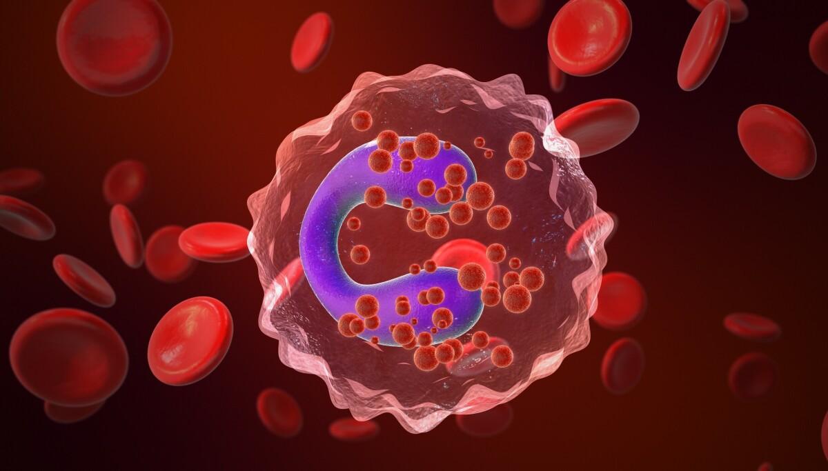 Alvorlig syk av mat: Advarer turister