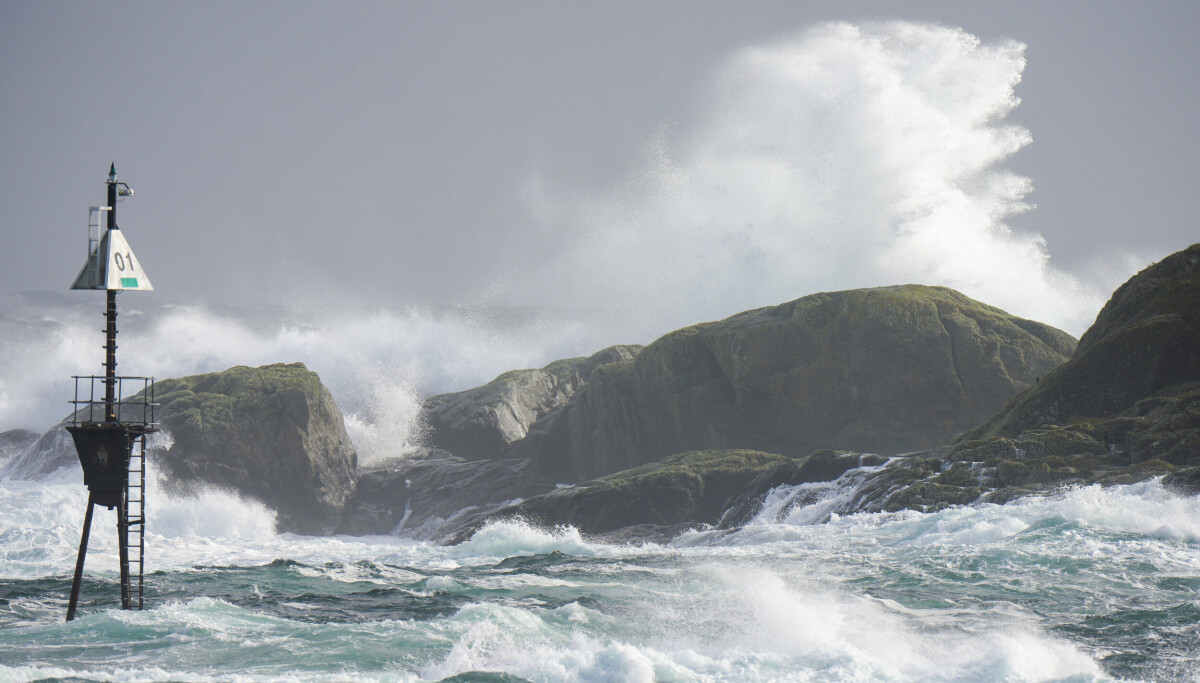 Først kommer «Anna», så kommer «Bjørn»