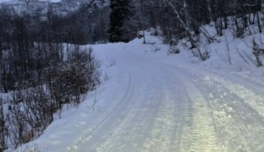 - Hører til sjeldenhetene