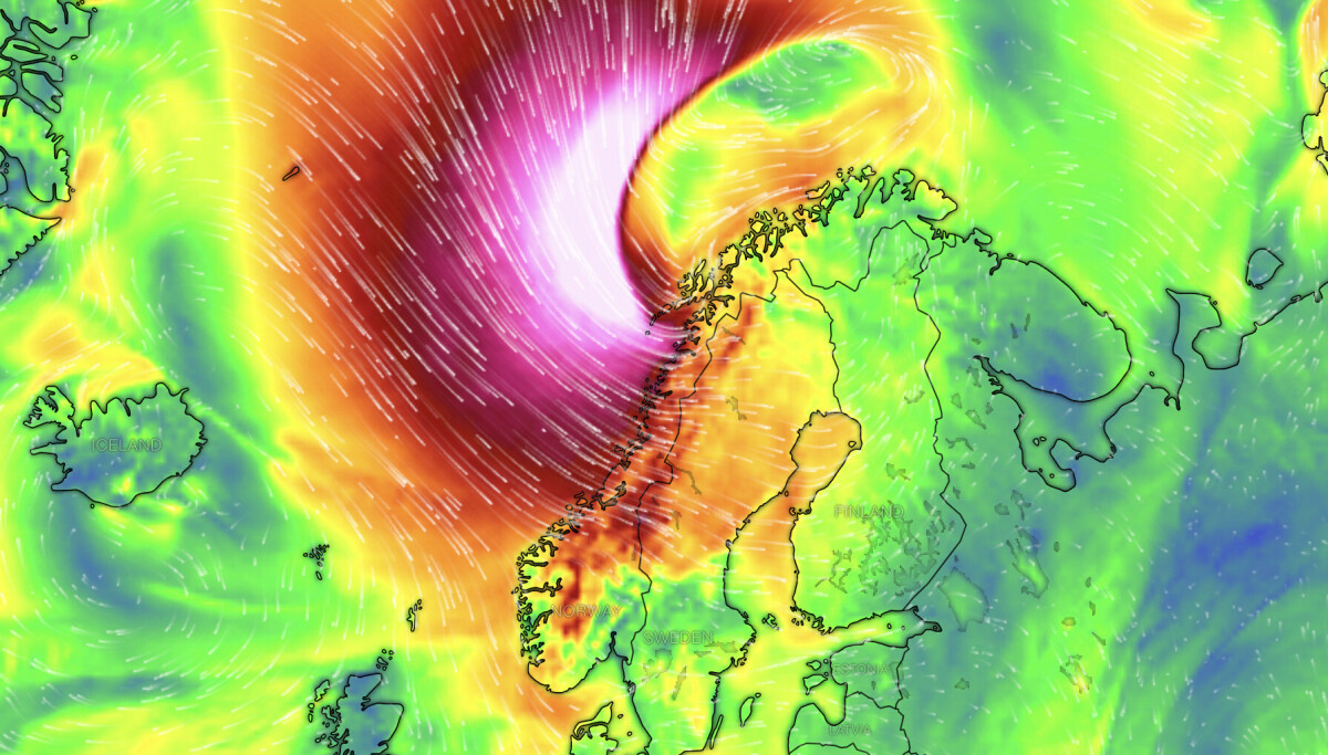 Klar beskjed: La bilen stå