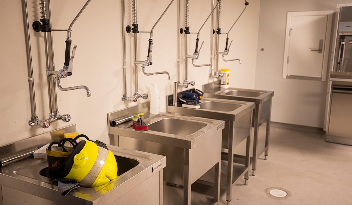 Arbeidstilsynet etterlyser avsug - vikebladet.no