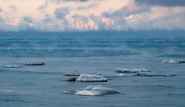 Arktis har opplevd sitt varmeste år – temperaturøkning øker dobbelt så raskt som resten av verden