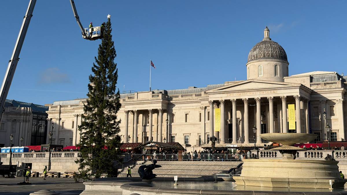 En arbeider i en heis monterer en stjerne på toppen av et juletre i Trafalgar Square. Bakgrunnen viser National Gallery, med en stor kuppel og søyler. Flere personer i hi-viz klær kan sees arbeide på plassen. Klar blå himmel og julemarked er synlig til venstre.