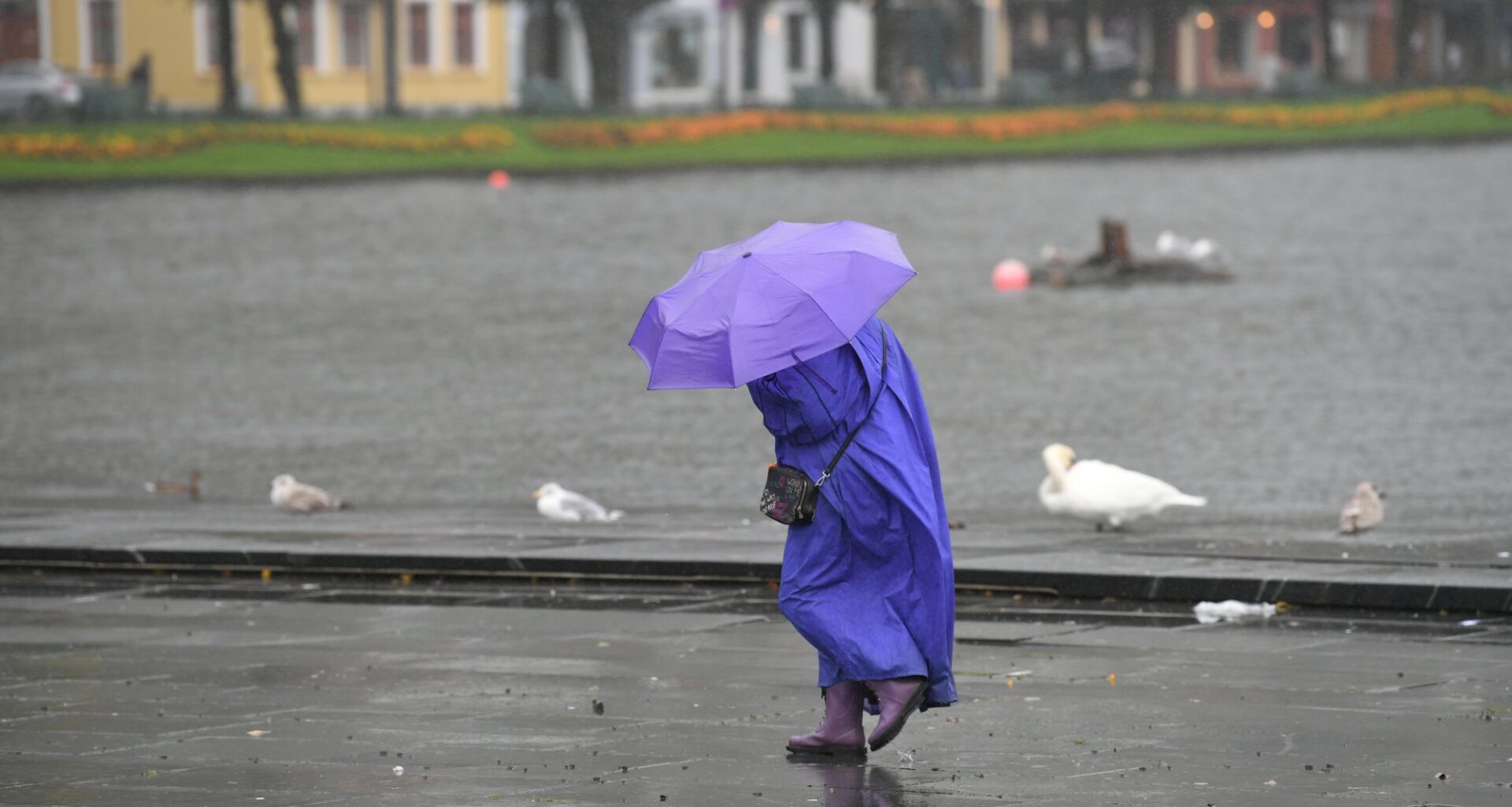 Været, Vinter | Først kommer regnet. Så kan vi få mildvær og sol