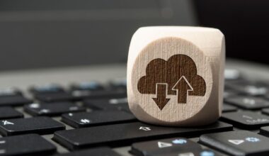 De amerikanske skytjenestene møter stor skepsis i Sveits, hvor det nå tas til orde for å unngå tjenestene.