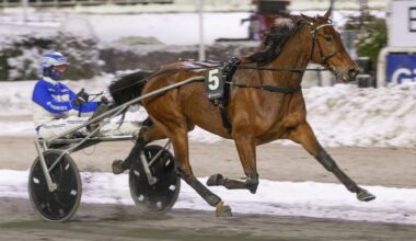 Canopus ringer julen inn