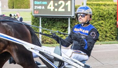 Spennende objekter til lunsj