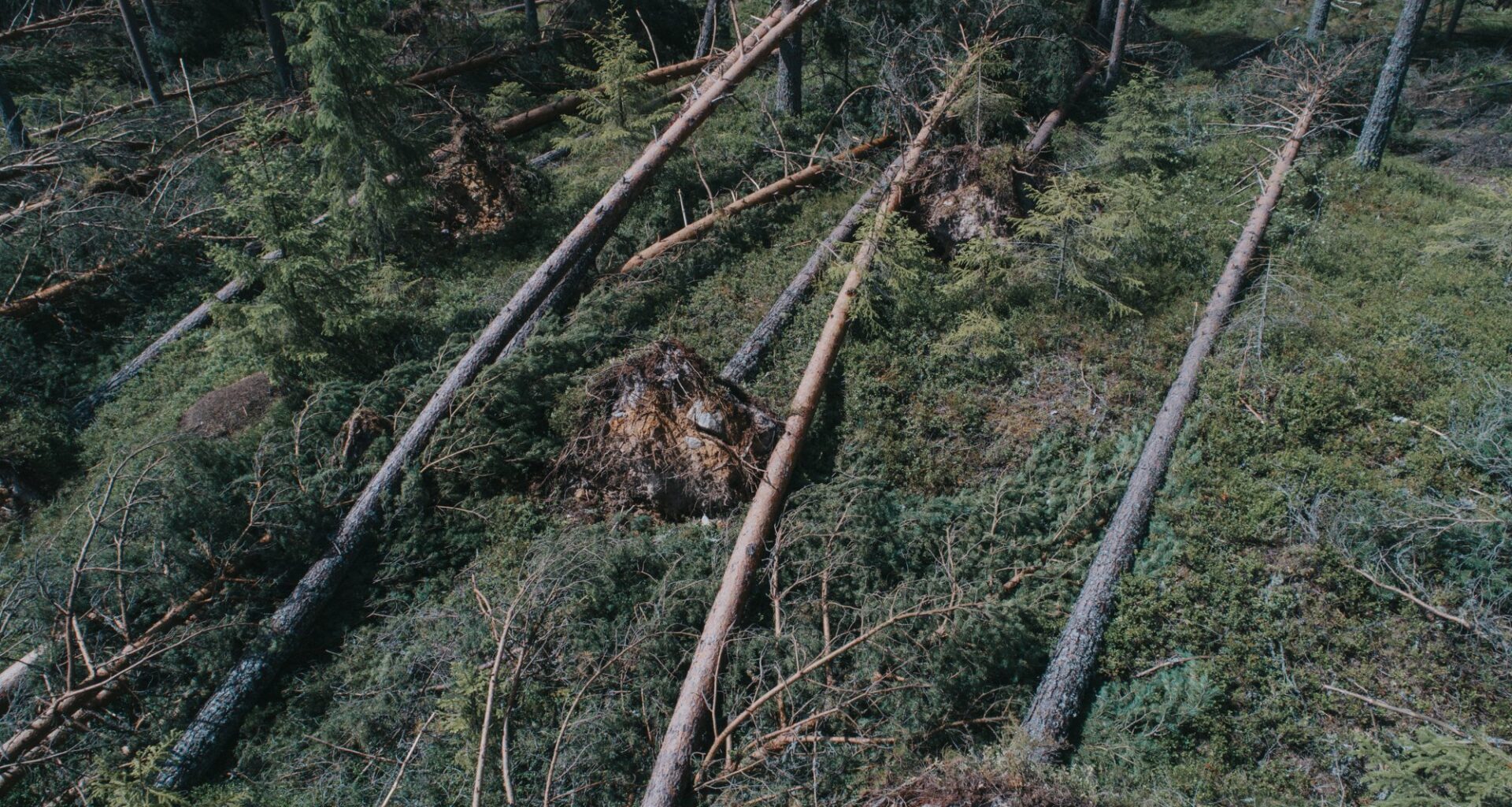 Amy, Skader | Disse to kommunene havnet på skadetoppen