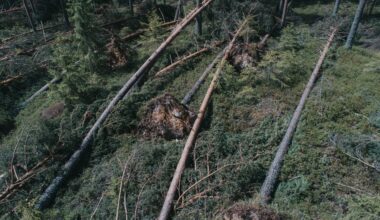 Amy, Skader | Disse to kommunene havnet på skadetoppen