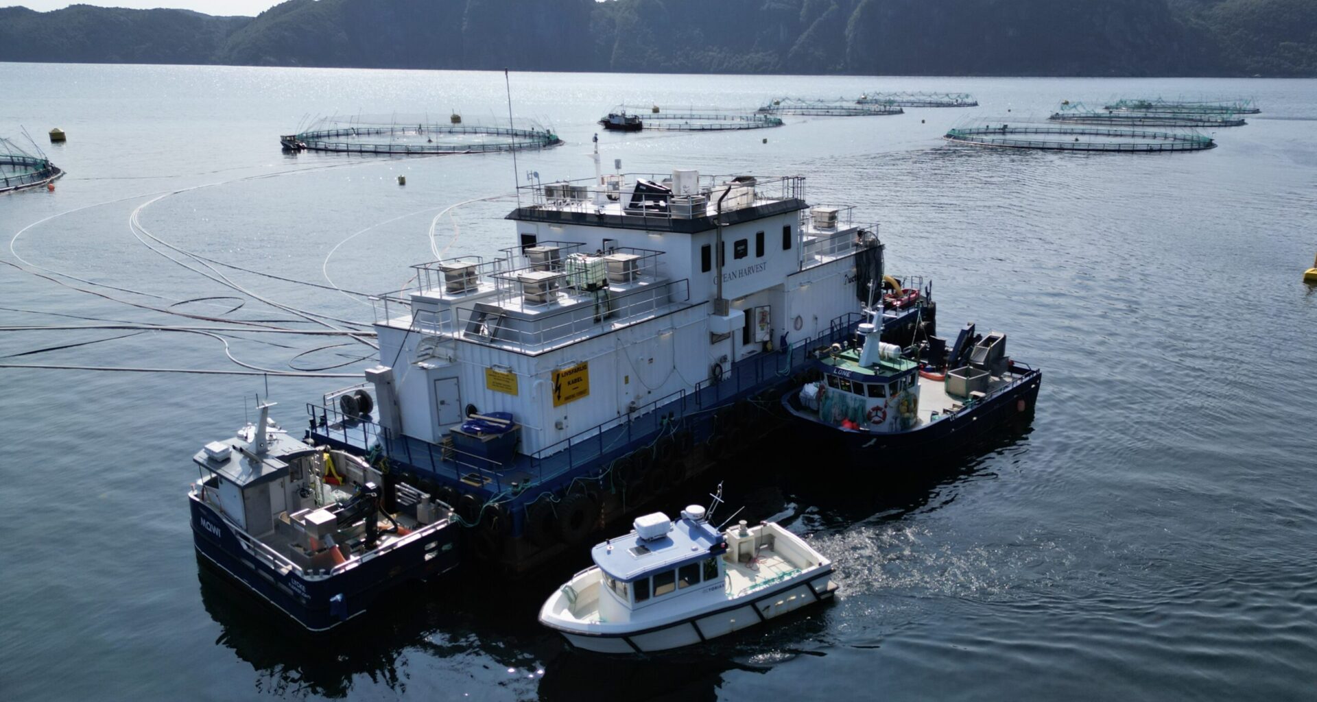 Begrenset rom for vekst i norsk oppdrett: – De fleste lavthengende frukter er tatt ut