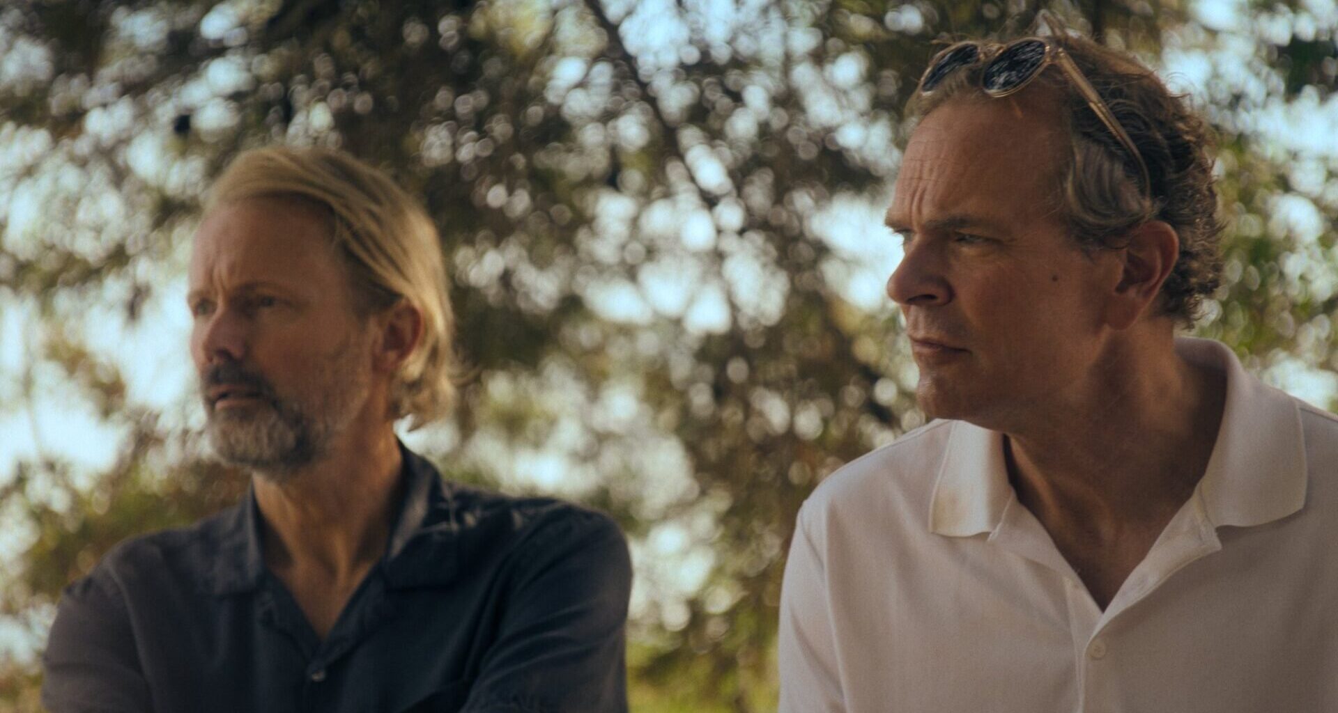 Felix Herngren, Der solen alltid skinner