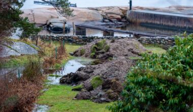 Bildet viser en fuktig og mudret hage med søle og potetliknende hauger av jord. Omgivelsene inkluderer svake grønne områder og et steingjerde i bakgrunnen. I det fjerne er det en liten brygge og vann. Det er overskyet, og landskapet har preg av vått vær. (Bildebeskrivelsen er laget av en KI-tjeneste)