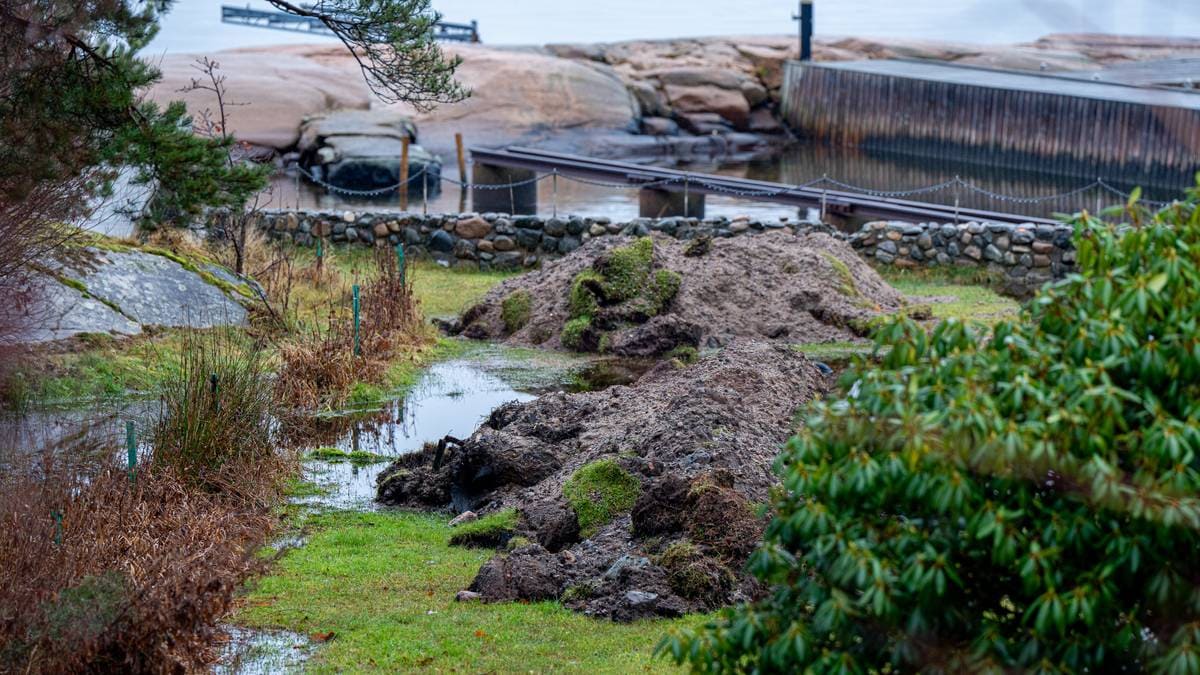 Bildet viser en fuktig og mudret hage med søle og potetliknende hauger av jord. Omgivelsene inkluderer svake grønne områder og et steingjerde i bakgrunnen. I det fjerne er det en liten brygge og vann. Det er overskyet, og landskapet har preg av vått vær. (Bildebeskrivelsen er laget av en KI-tjeneste)
