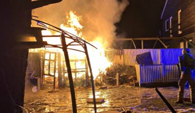 7 uunnværlige tips – NRK Vestfold og Telemark – Lokale nyheter, TV og radio