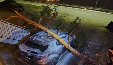 Uvær, Ulykker | Fikk bilruta knust av grein: – Det nytter ikke annet enn å se på nå - Bladet Vesterålen