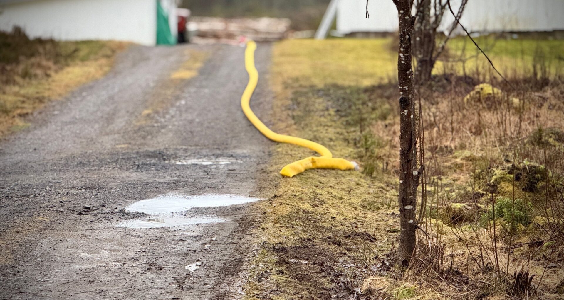 Politi, Krim | 90 år gammel mann utsatt for vold – kvinne i 40-årene pågrepet - Østlendingen