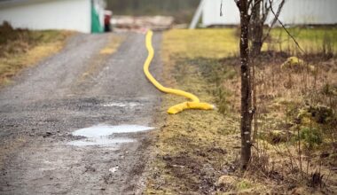Politi, Krim | 90 år gammel mann utsatt for vold – kvinne i 40-årene pågrepet - Østlendingen