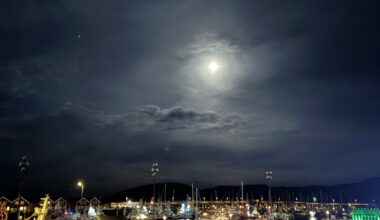 Politi, Trafikk | God morgen, Salten!