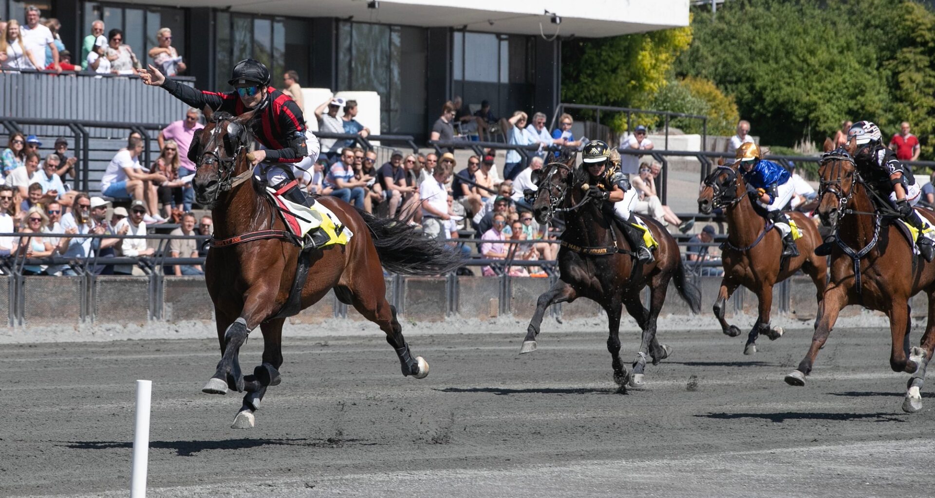Torsdagskveld med dobbel V64-jackpot på Åby