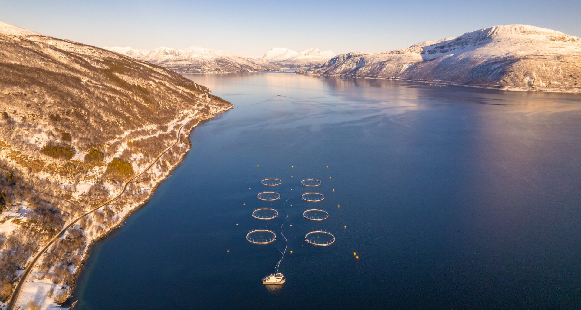 Anmeldes etter rømming: – Grov miljøkriminalitet - iHarstad