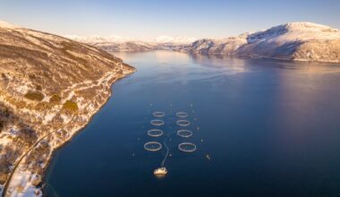 Anmeldes etter rømming: – Grov miljøkriminalitet - iHarstad