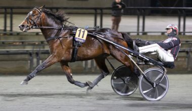 Norsk banker i kveldens V64-omgang