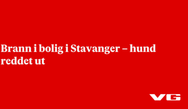 Brann i bolig i Stavanger – hund reddet ut