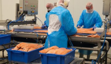 Voldsomt prisløft: – Det har steget veldig fort